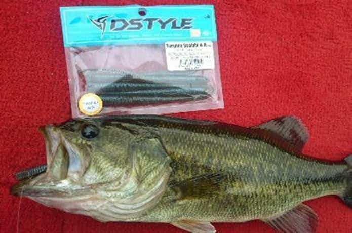 トルキーストレートで釣ったバス