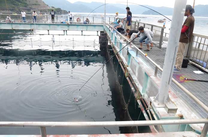 海釣り公園みかたの画像