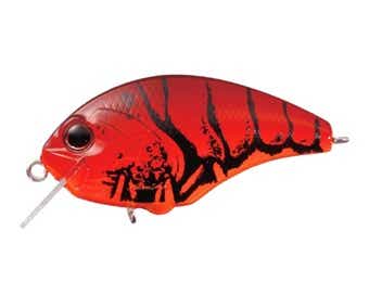 タイニーブリッツ、アメザリ
