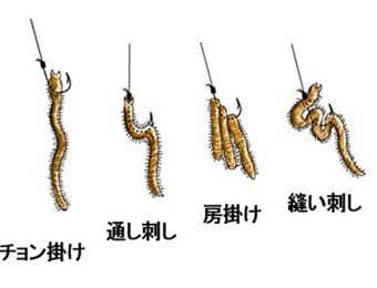 青イソメの付け方の画像