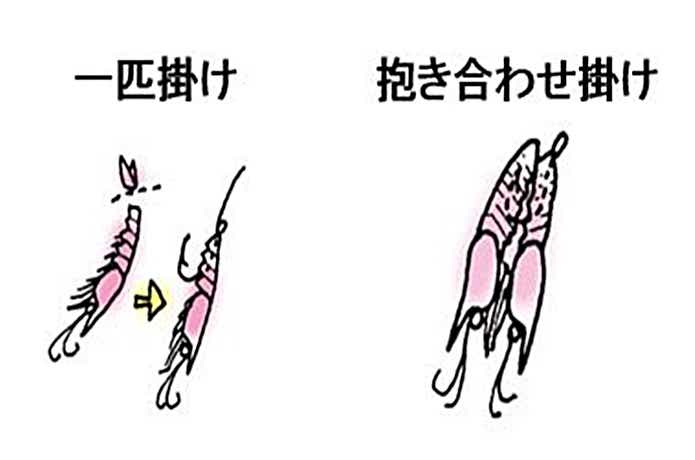 エビ系釣り餌の付け方の画像