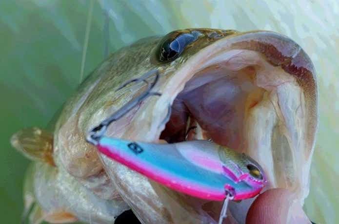 バス釣り】レベルバイブブーストの重さの使い方（使い分け