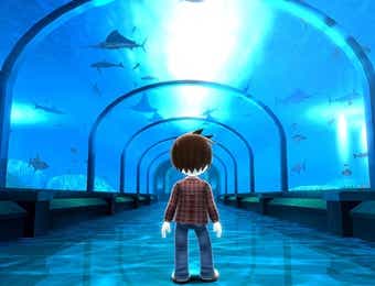 ファミリーフィッシングの水族館