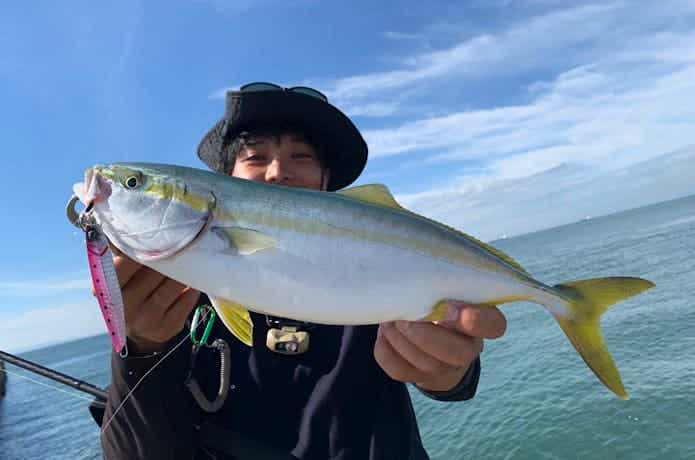 サムライジグRで釣ったハマチ