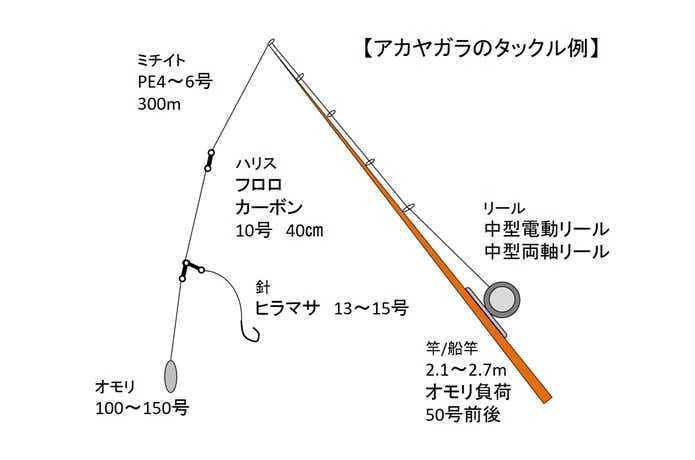 アカヤガラのタックル