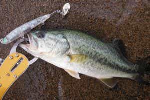 ブースターブレード77