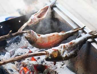 ニジマスの塩焼き