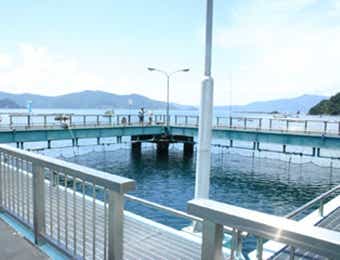 海釣り公園みかたの上級者コース