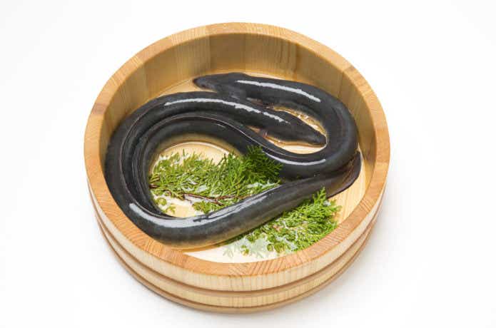 ハイジャンプ 7キロ うなぎの餌 ウナギの餌 鰻の餌 鰻用 練り餌 養鰻飼料 Amazon.co.jp: ハイステップ 400㌘ うなぎの餌 ウナギの餌 鰻の