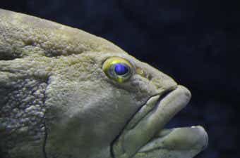 魚の目に水見えず、人の目に空見えず