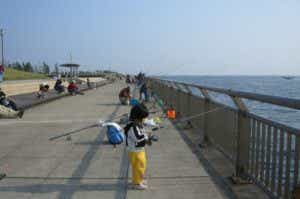 東扇島西公園