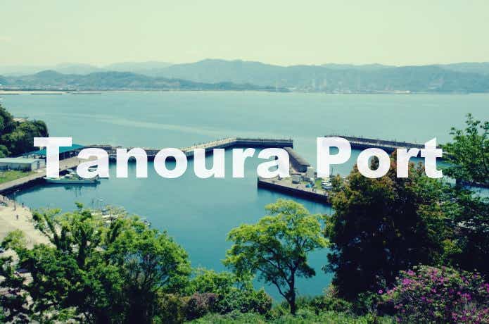田ノ浦漁港