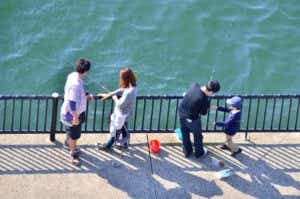 親子で釣りの画像