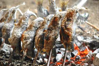 ニジマスの塩焼き