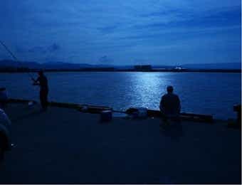 夜釣り