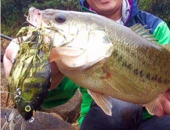 THタックルのオリジナルゾーイ