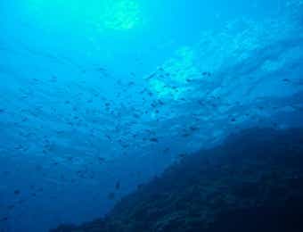 海底
