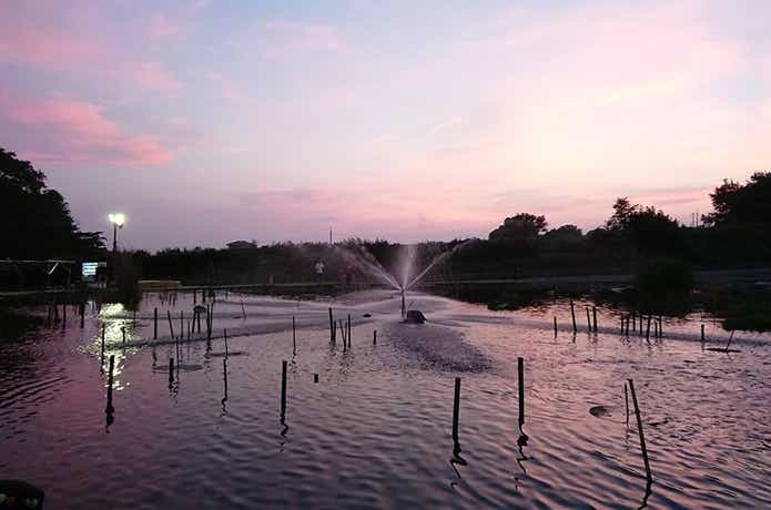 宮城アングラーズヴィレッジ