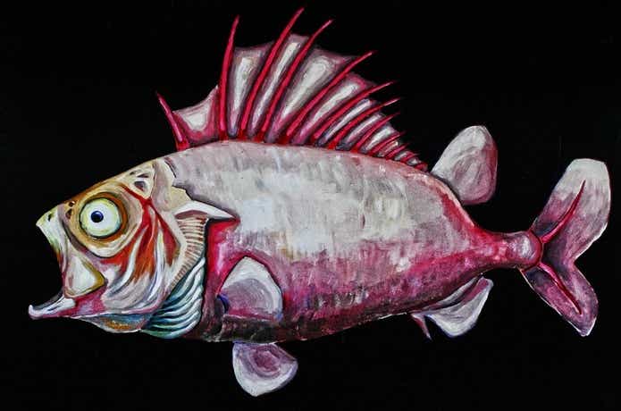 カ行の魚のことわざ