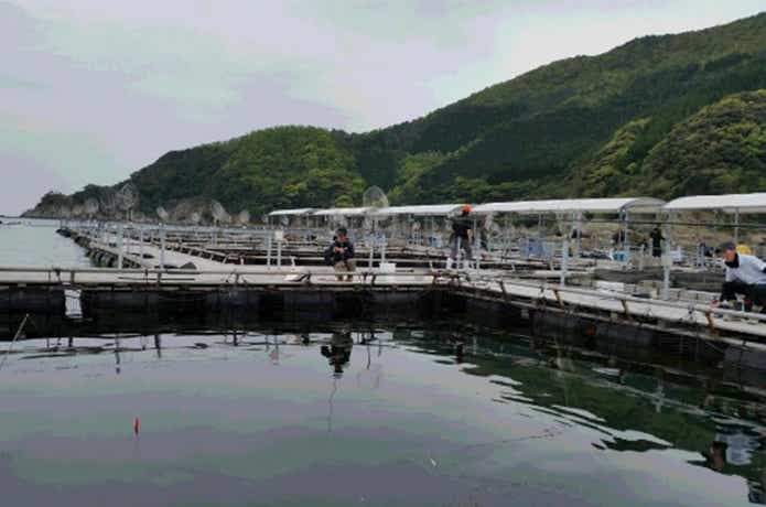 釣っちゃ王のイケス