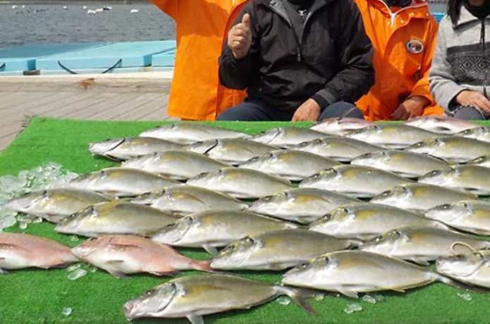 釣っちゃ王の釣果