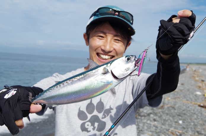 ソウダガツオの画像