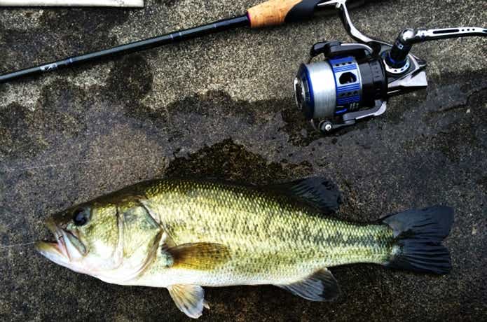 アブガルシアのリール