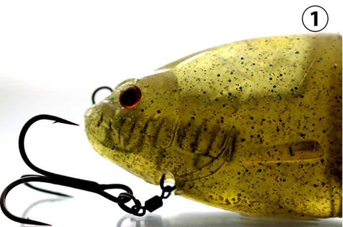 ギルフラットスイマー