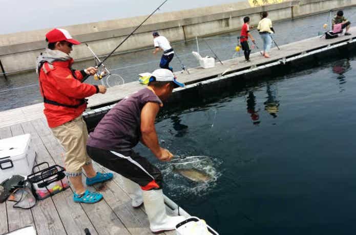 みうら海王で釣れている画像