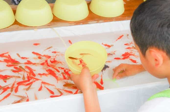 金魚すくい