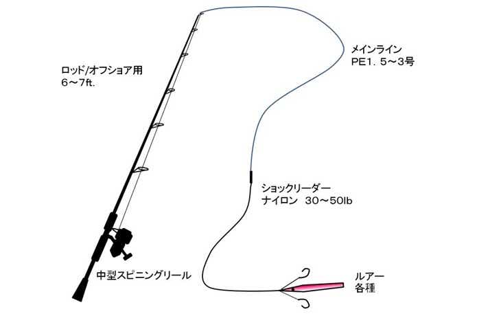 カツオのルアー釣り仕掛の画像