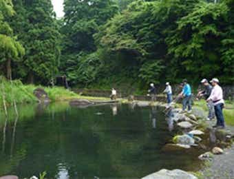 ヤマメ池