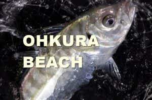 大蔵海岸　釣り