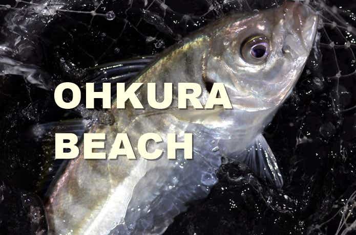 大蔵海岸　釣り
