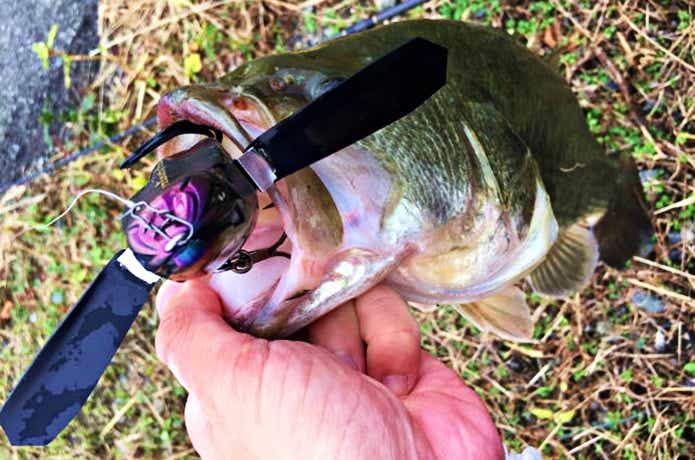 ベルリネッタクローラー2で釣れたバス