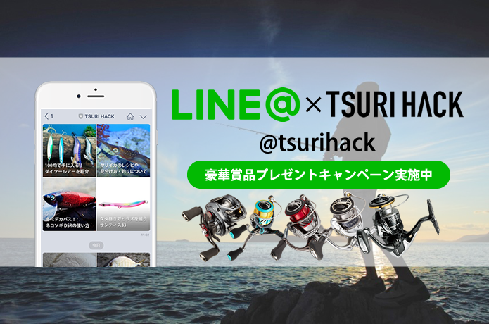 LINE@