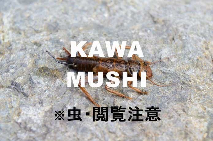 川虫