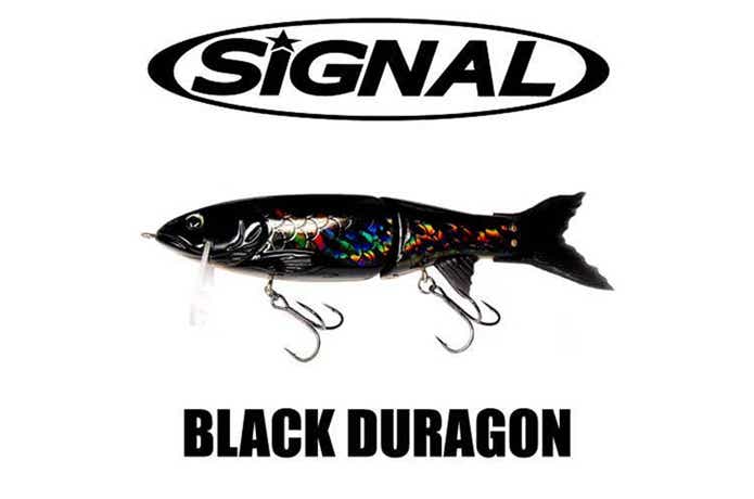 ブラックデュラゴン【SIGNAL】厳寒期でも炸裂！？使い方をチェック