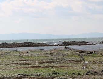 干潮の海岸