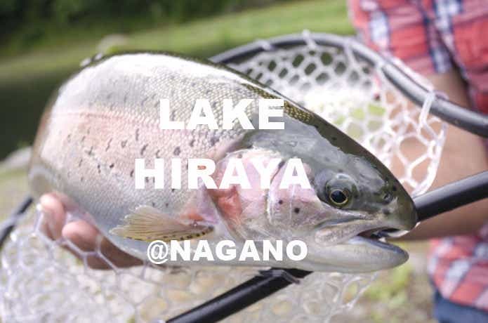 管理釣り場のトラウト