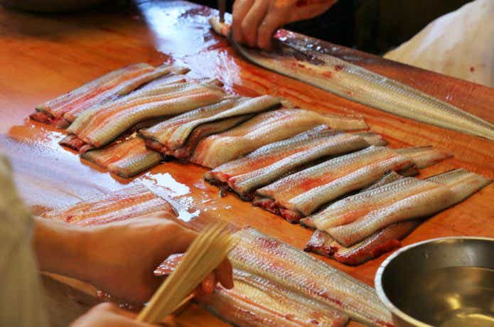 船釣り