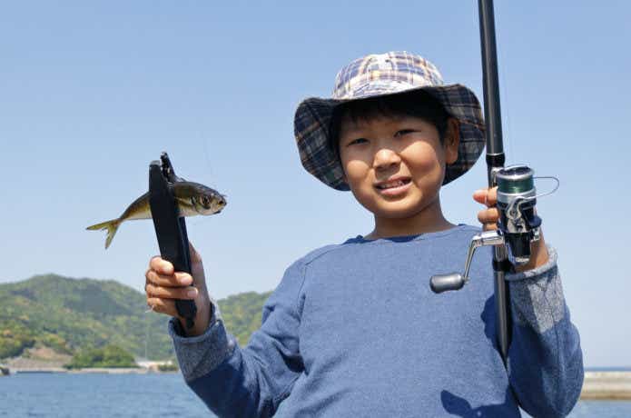 釣れたアジ