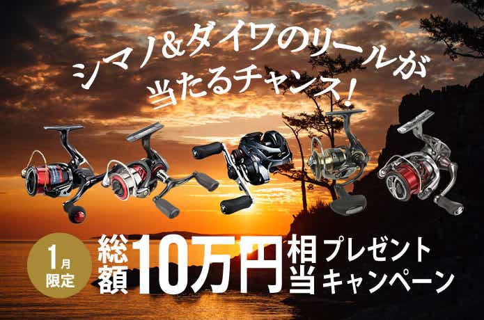 1月キャンペーン