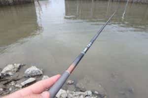 延べ竿で釣りの画像