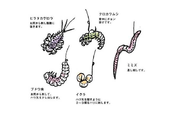 イワナ釣りのエサの画像