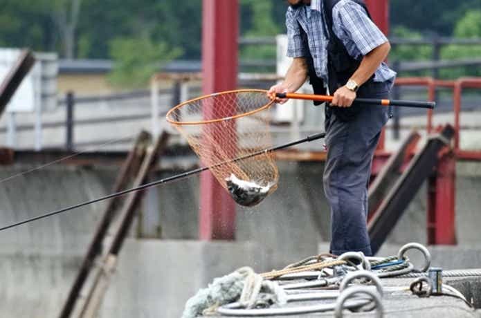 堤防での釣り
