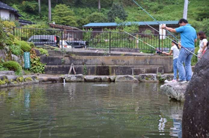 ニジマス釣り
