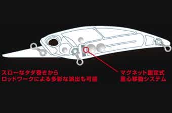 レアリスシャッドの特徴の画像