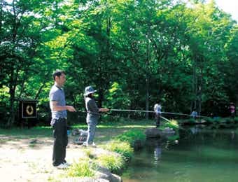 グリーンパーク不忘の4号池