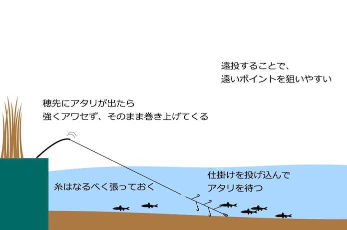 投モロコの釣り方